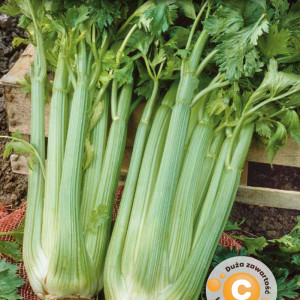 Zeler stopkový VERDE PASCAL