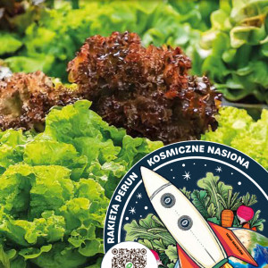 Šalát listový KOZMICKÝ MIX