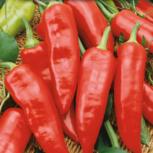 Paprika sladká MARCONI