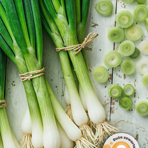 Cibuľa sedemročná KYOTO MARKET