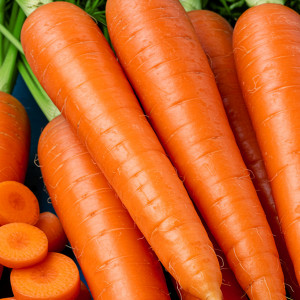 Jedlá mrkva NANTAISE 2