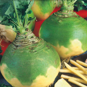 Brukva Wilhelmsburger