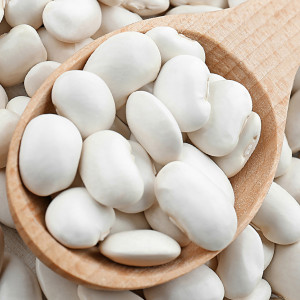 Tyčková fazuľa PIĘKNY JAŚ