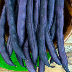 Tyčková fazuľa šparágová BLAUHILDE