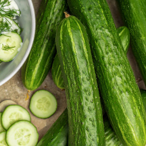 Uhorka poľná šalátová DELICIUS