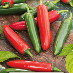 Pálivá paprika JALAPENO RUBEN