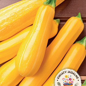 Patison ZŁOTY CEPELIN