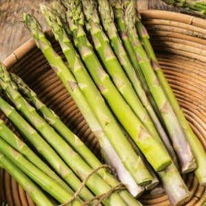 Špargľa MARY WASHINGTON