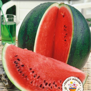 Vodný melón SUGAR BABY