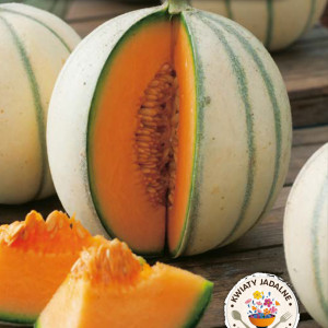 Cukrový melón CHARENTAIS