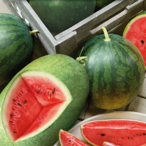 Vodný melón MIX ODROD