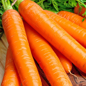 Jedlá mrkva NAOMI (skorá)