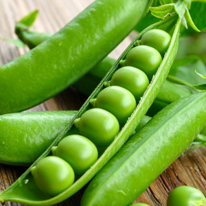 Cukrový hrach AMBROSIA