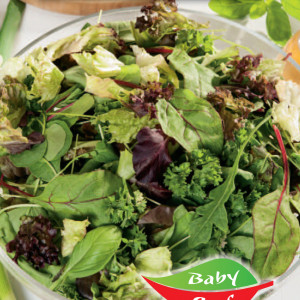 Čerstvé lístky TALIANSKA ZMES