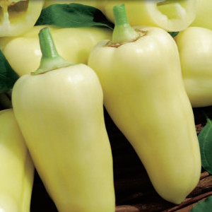 Paprika sladká MONANTA