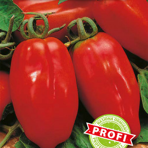 Paradajka poľná SANMARO F1