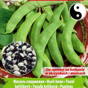 Zakrslá fazuľa šparágová YIN YANG