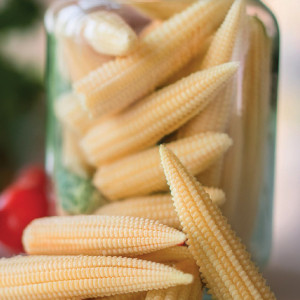 Cukrová kukurica MINIGOLD