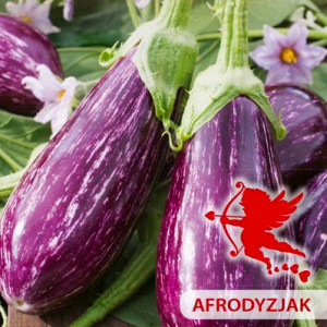 Baklažán TSAKONIKI