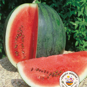 Vodný melón CRIMSON SWEET
