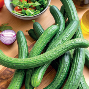 Uhorka poľná CHINESE SLANGEN