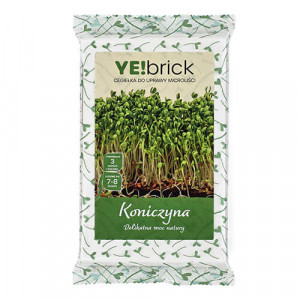 YE!brick - Ďatelina purpurová 3 tehličky na pestovanie microgreens