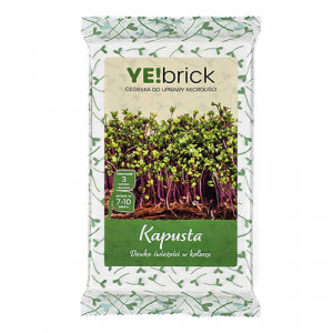 YE!brick - Červená kapusta 3 tehličky na pestovanie microgreens