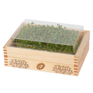 Miska na pestovanie + tehličky YE!greens (brokolica, reďkovka, ďatelina purpurová)