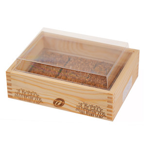 Miska na pestovanie + tehličky YE!greens (brokolica, reďkovka, ďatelina purpurová)